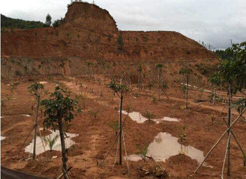 固體廢物 有機氯農藥的測定 氣相色譜-質譜法