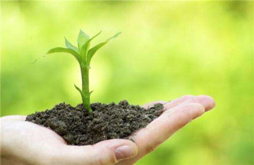 土壤和沉積物 8 種酰胺類農藥的測定 氣相色譜-質譜法