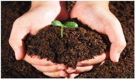 建設用地土壤污染狀況調查 技術導則