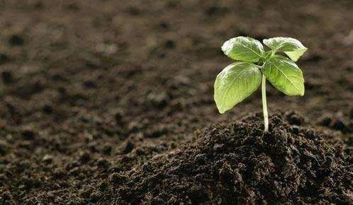 土壤 粒度的測(cè)定吸液管法和比重計(jì)法